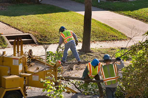 Best Weed Control  in Juno Beach, FL